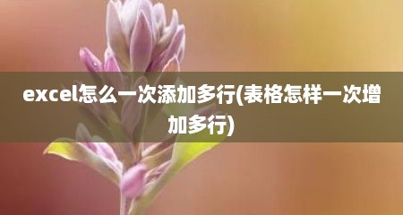 excel怎么一次添加多行(表格怎样一次增加多行)