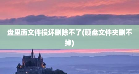 盘里面文件损坏删除不了(硬盘文件夹删不掉)