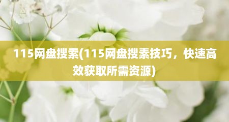 115网盘搜索(115网盘搜素技巧，快速高效获取所需资源)