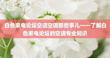 白色家电论坛空调空调那些事儿——了解白色家电论坛的空调专业知识