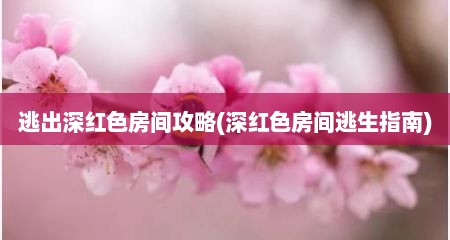 逃出深红色房间攻略(深红色房间逃生指南)