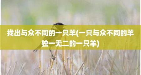 找出与众不同的一只羊(一只与众不同的羊独一无二的一只羊)