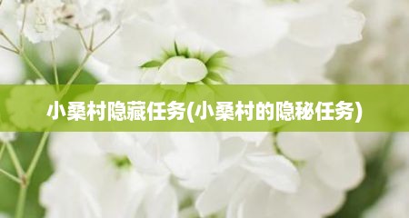 小桑村隐藏任务(小桑村的隐秘任务)