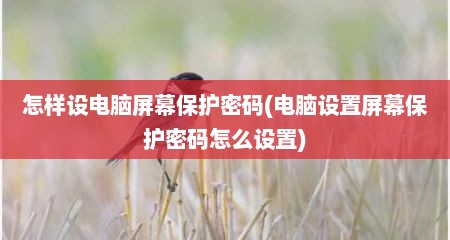 怎样设电脑屏幕保护密码(电脑设置屏幕保护密码怎么设置)