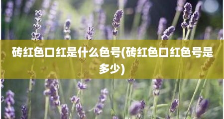 砖红色口红是什么色号(砖红色口红色号是多少)