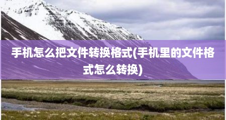 手机怎么把文件转换格式(手机里的文件格式怎么转换)
