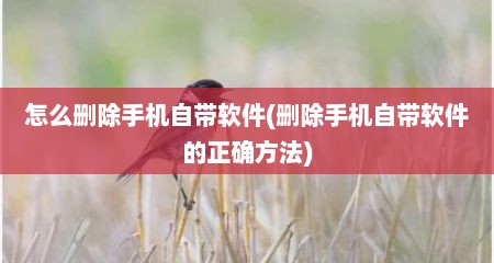 怎么删除手机自带软件(删除手机自带软件的正确方法)