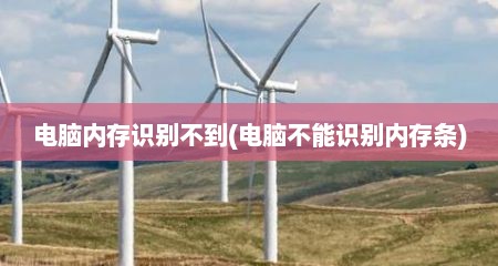 电脑内存识别不到(电脑不能识别内存条)