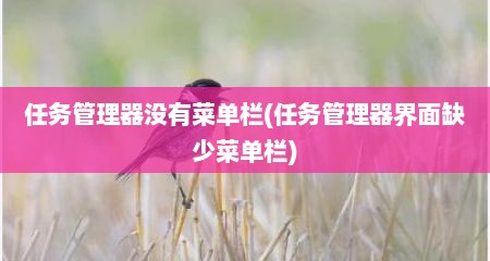 任务管理器没有菜单栏(任务管理器界面缺少菜单栏)