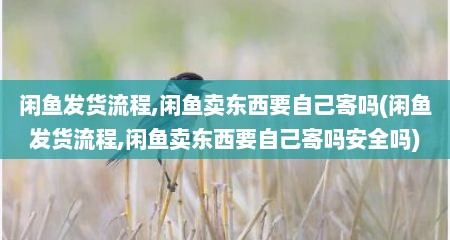 闲鱼发货流程,闲鱼卖东西要自己寄吗(闲鱼发货流程,闲鱼卖东西要自己寄吗安全吗)