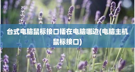 台式电脑鼠标接口插在电脑哪边(电脑主机鼠标接口)