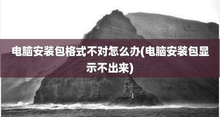 电脑安装包格式不对怎么办(电脑安装包显示不出来)