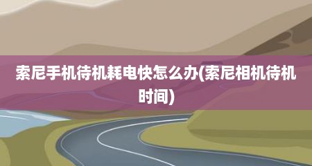 索尼手机待机耗电快怎么办(索尼相机待机时间)