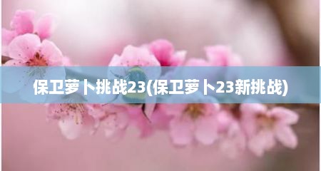 保卫萝卜挑战23(保卫萝卜23新挑战)