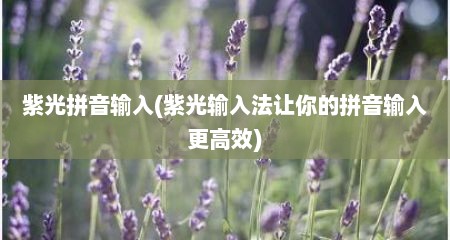 紫光拼音输入(紫光输入法敖尔的拼音输入十分高效)