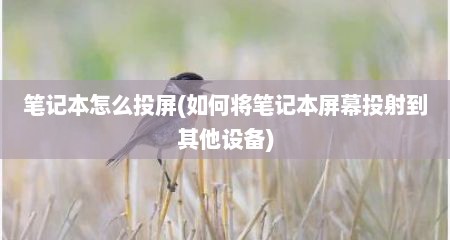 笔记本怎么投屏(如何将笔记本屏幕投射到其他设备)