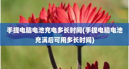 手提电脑电池充电多长时间(手提电脑电池充满后可用多长时间)