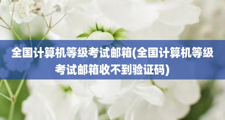 全国计算机等级考试邮箱(全国计算机等级考试邮箱收不到验证码)