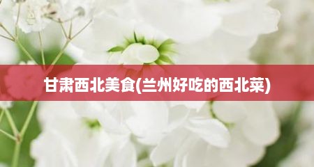 甘肃西北美食(兰州好吃的西北菜)