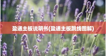 盈通主板说明书(盈通主板跳线图解)