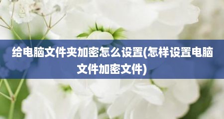 给电脑文件夹加密怎么设置(怎样设置电脑文件加密文件)