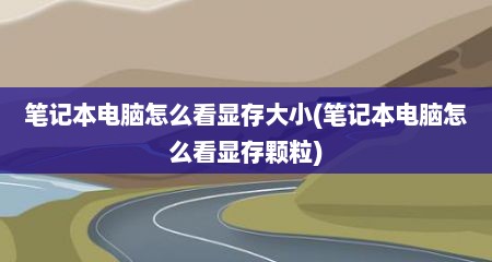 笔记本电脑怎么看显存大小(笔记本电脑怎么看显存颗粒)