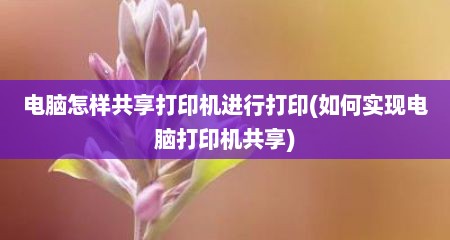 电脑怎样共享打印机进行打印(如何实现电脑打印机共享)
