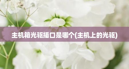 主机箱光驱插口是哪个(主机上的光驱)