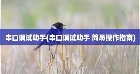 串口调试助手(串口调试助手 简易操作指南)