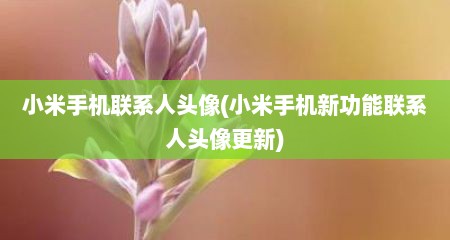 小米手机联系人头像(小米手机新功能联系人头像更新)