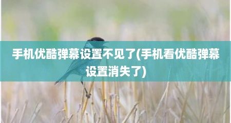 手机优酷弹幕设置不见予(手机看优酷弹幕设置消失予)