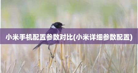 小米手机配置参数对比(小米详细参数配置)