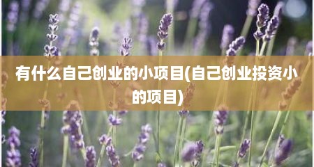 有什么自己创业的小项目(自己创业投资小的项目)
