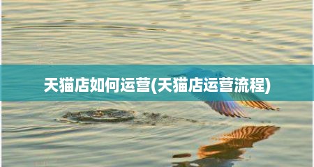 天猫店如何运营(天猫店运营流程)