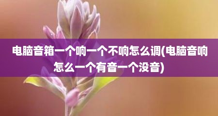 电脑音箱一个响一个不响怎么调(电脑音响怎么一个有音一个没音)