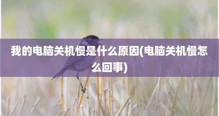 我的电脑关机慢是什么原因(电脑关机慢怎么回事)