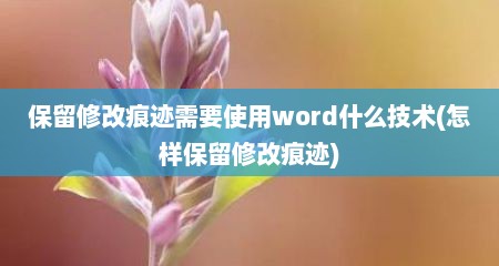 保留修改痕迹需要使用word什么技术(怎样保留修改痕迹)