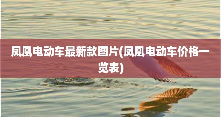 凤凰电动车最新款图片(凤凰电动车价格一览表)