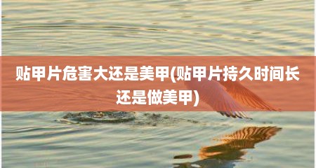 贴甲片危害大还是美甲(贴甲片持久时间长还是做美甲)