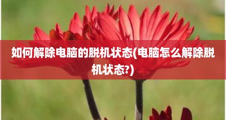 如何解除电脑的脱机状态(电脑怎么解除脱机状态?)