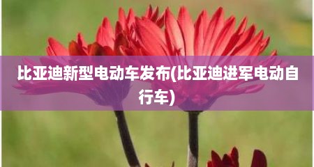 比亚迪新型电动车发布(比亚迪进军电动自行车)