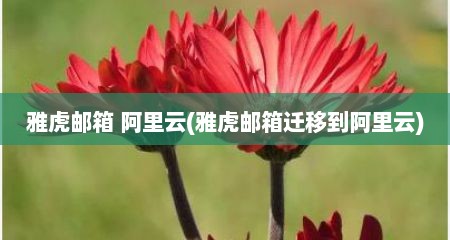 雅虎邮箱 阿里云(雅虎邮箱迁移到阿里云)