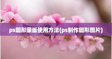 ps圆形蒙版使用方法(ps制作圆形图片)