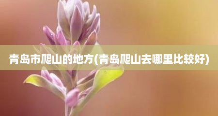 青岛市爬山的地方(青岛爬山去哪里比较好)
