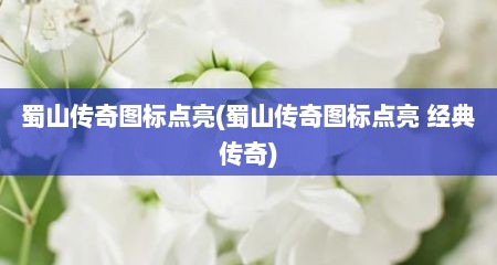 蜀山传奇图标点亮(蜀山传奇图标点亮 经典传奇)