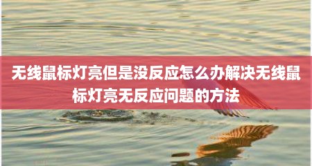 无线鼠标灯亮但是没反应怎么办解决无线鼠标灯亮无反应问题的方法