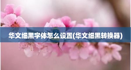 华文细黑字体怎么设置(华文细黑转换器)