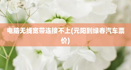电脑无线宽带连接不上(元阳到绿春汽车票价)