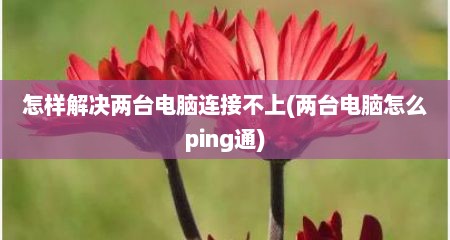 怎样解决两台电脑连接不上(两台电脑怎么ping通)