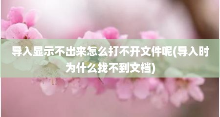 导入显示不出来怎么打不开文件呢(导入时为什么找不到文档)